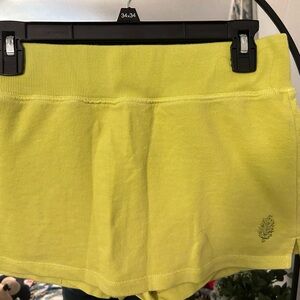 American Apparel Light Green Skirt